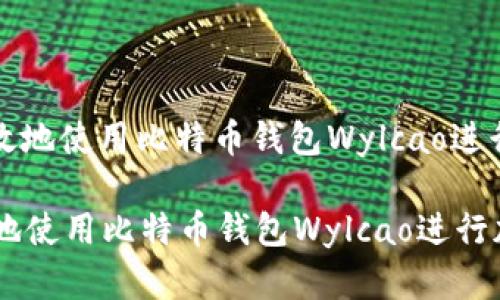 : 如何安全高效地使用比特币钱包Wylcao进行加密货币交易

如何安全高效地使用比特币钱包Wylcao进行加密货币交易