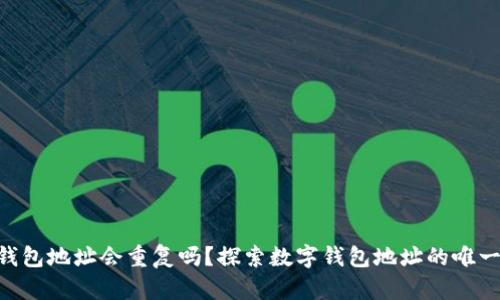 MetaMask钱包地址会重复吗？探索数字钱包地址的唯一性与安全性