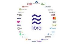 深入探究虚拟币老鼠币：