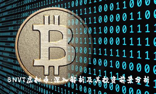 BNVT虚拟币：深入解析及其投资前景分析