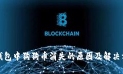 TP钱包中狗狗币消失的原因及解决方案