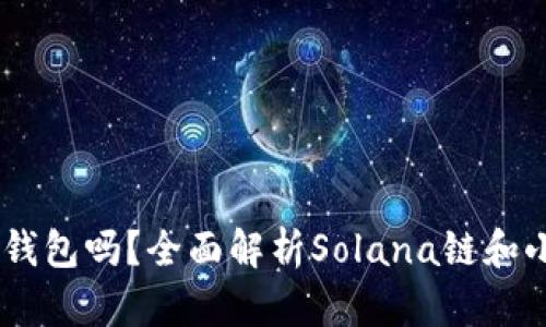 小狐狸支持sol钱包吗？全面解析Solana链和小狐狸的兼容性