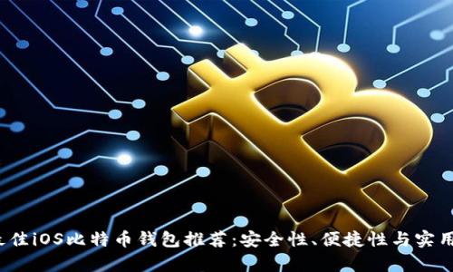 2018年最佳iOS比特币钱包推荐：安全性、便捷性与实用性全分析