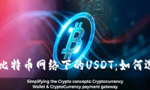 深入解析比特币网络下的USDT：如何选择与使用