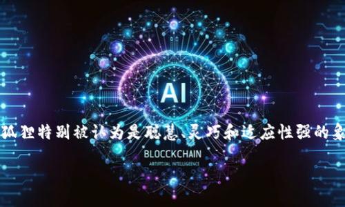 在许多文化中，动物符号通常 carries深刻的意义和象征。狐狸特别被认为是聪慧、灵巧和适应性强的象征。那么，上有狐狸的图案或符号从何而来？它代表着什么？

### 狐狸在上的象征意义